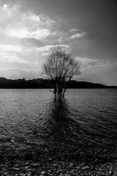 2016_03_12 (0049).jpg - Lac de Pannecière